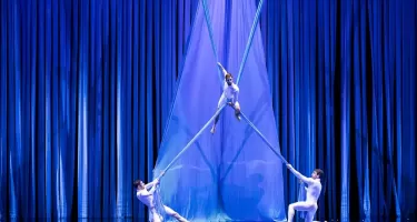 Circa, Duck Pond © Pia Johnson.