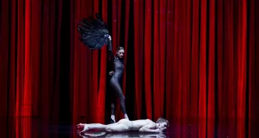 Circa, Duck Pond © Pia Johnson.