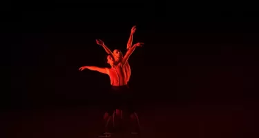 Le Patin Libre, Murmuration ©Nora Houguenade.