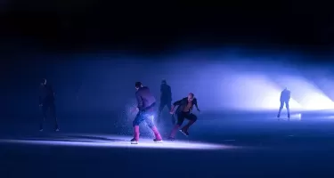 Le Patin Libre, Murmuration ©Nora Houguenade.