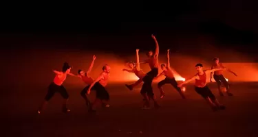 Le Patin Libre, Murmuration ©Nora Houguenade.