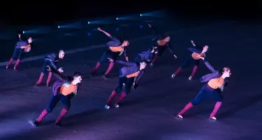 Le Patin Libre, Murmuration ©Nora Houguenade.