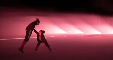 Le Patin Libre, Murmuration ©Nora Houguenade.