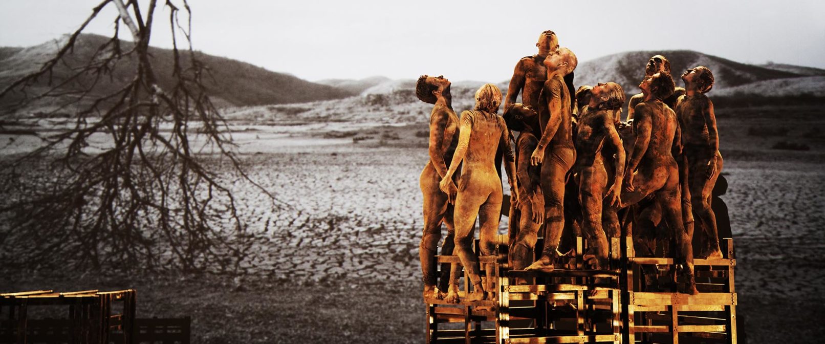 Group of dancers on ladder-like structure with projection of tree and roots in background.