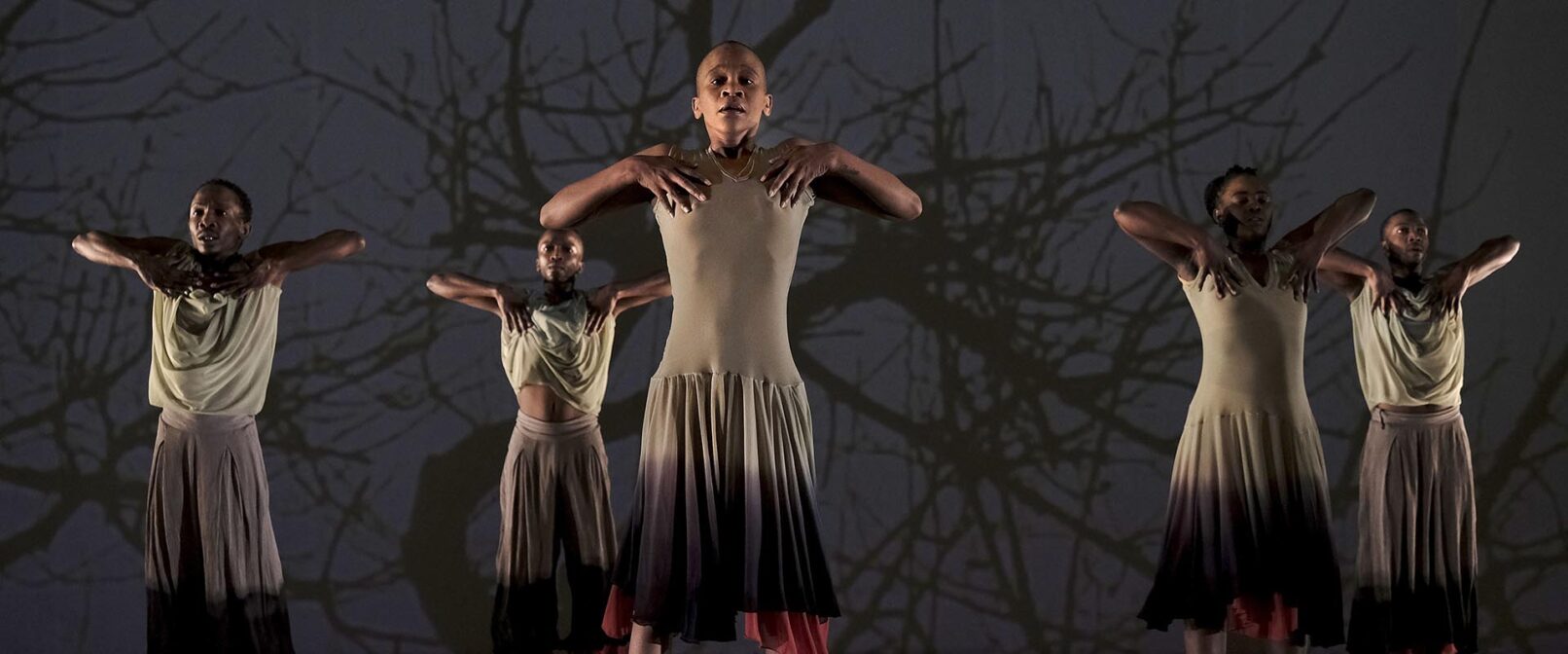 Dada Masilo. Six Black dancers - two women and three men - stand facing the camera. They are all wearing sleeveless tops and flowing pants or skirts in various neutral colour tones. A silouette of tree branches with no leaves is projected on the wall behind them.
